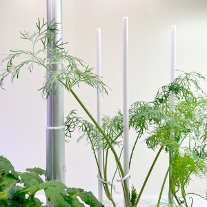 스피아노 식물도감 식물재배기 재배막대 12개입 1세트